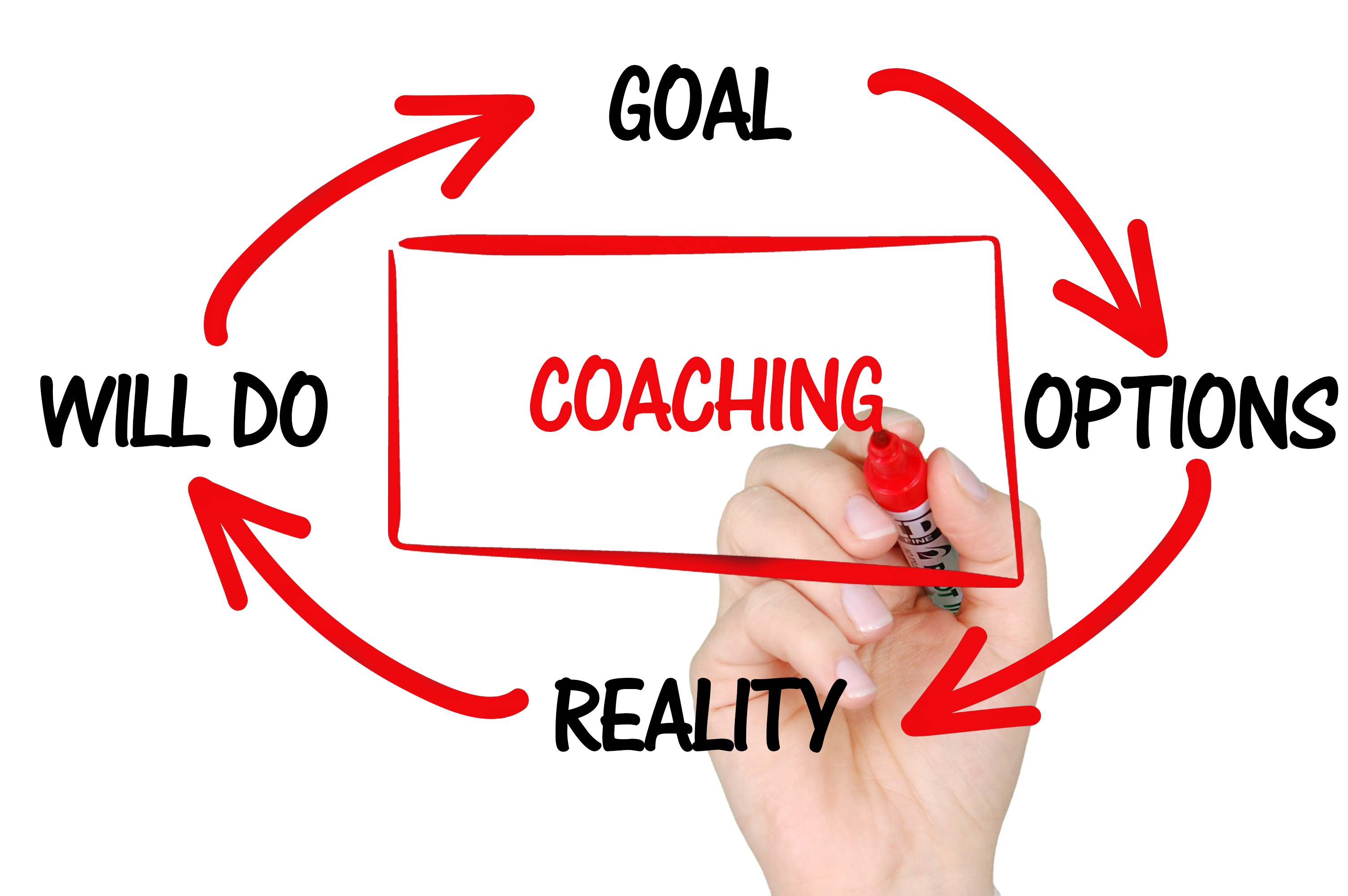 Bild mit rotem Viereck, in der Mitte steht Coaching, drum herum stehen die Worte "will do", "goal", "options" und "reality"